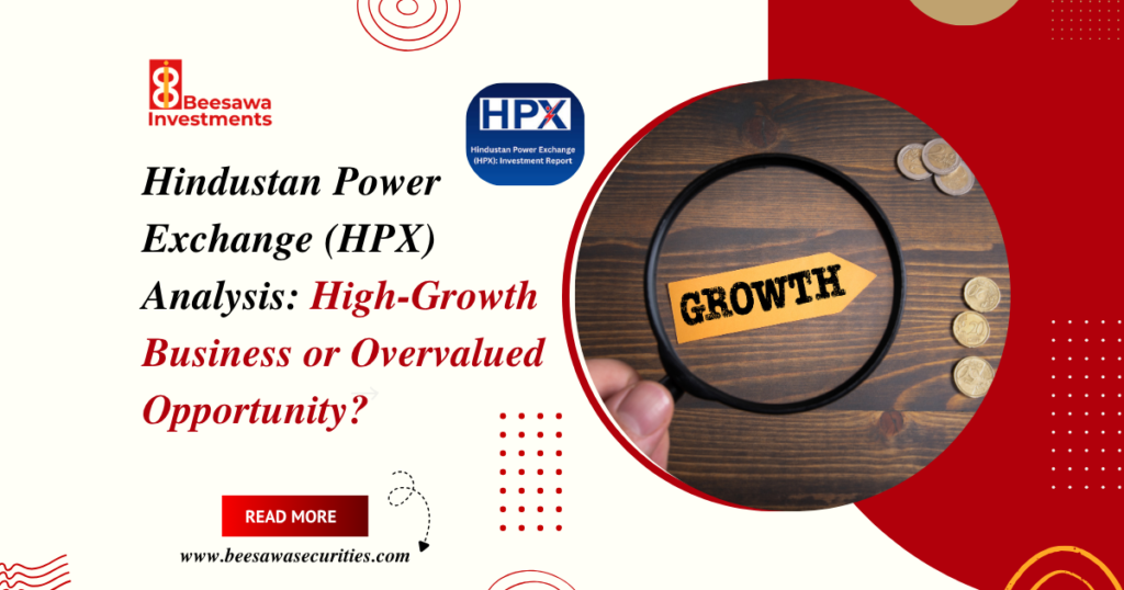 High-Growth Business or Overvalued Opportunity?