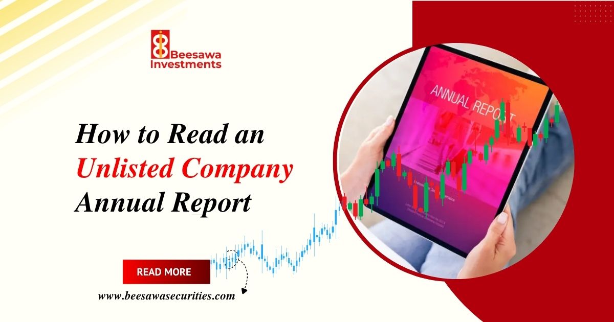 how to read an unlisted company annual report